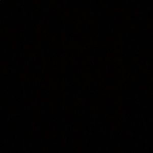 Meet your Posher, Tatum